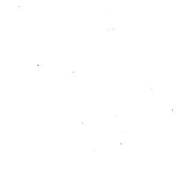 Meet your Posher, Alex Morgan - Picture 1 of 1